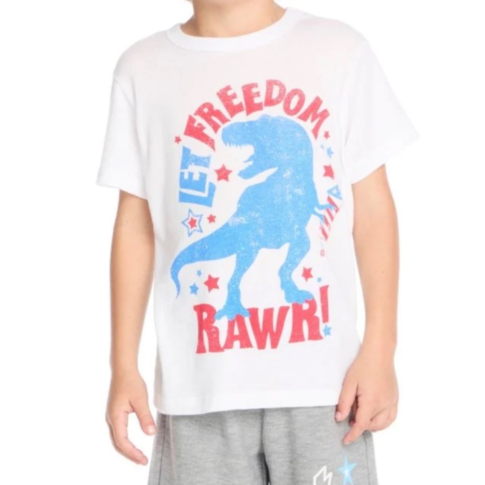 Chaser Boys White Dinosaur Graphic T-Shirt